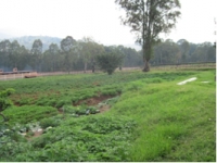 Coltivazione di un orto all'ospedale Butare